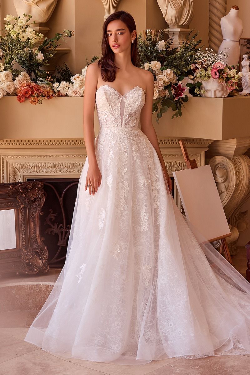 Tressa - WL052 - Image 2