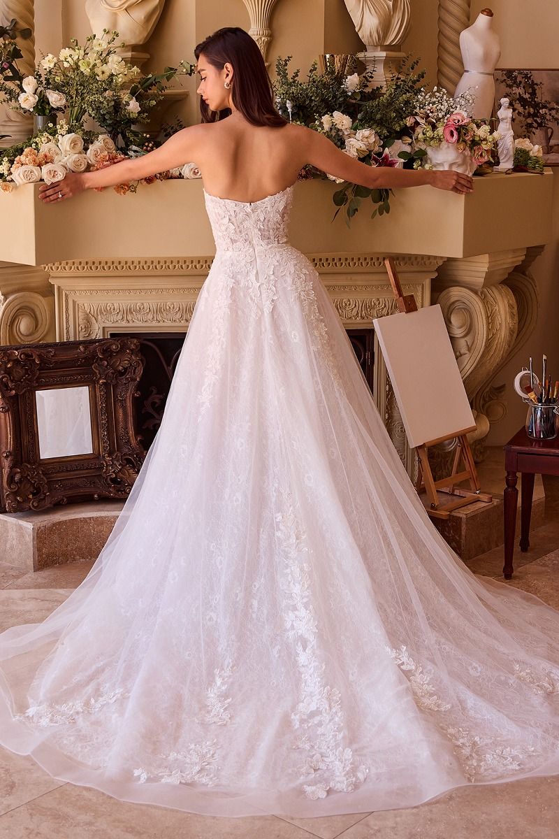 Tressa - WL052 - Image 3